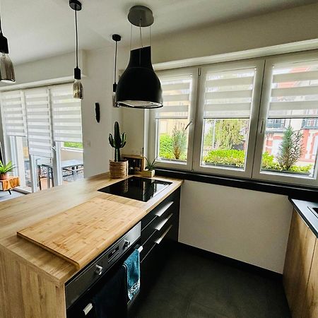 Appartement De Standing Proche Centre Ville Et Gare Mulhouse Kültér fotó