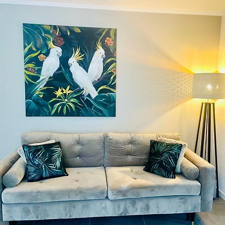 Appartement De Standing Proche Centre Ville Et Gare Mulhouse Kültér fotó